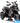 Motor BMW GS1300 12V 062243
